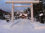 torii.jpg